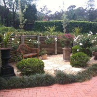 Photo Thumbnail #3: Court yard with gardenias, roses and mondo grass