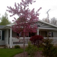 Photo Thumbnail #2: New Island bed planted fall 2008. All plants...