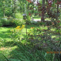 Photo Thumbnail #3: Front yard from porch