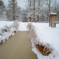 Photo Thumbnail #1: Grandkids catfish pond made in back yard. Ice...