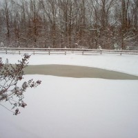 Photo Thumbnail #4: Grandkids bass,sunfish,bluegill pond on right...