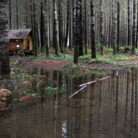 Photo Thumbnail #2: 1-23-2011 Heavy rains float the logs that...