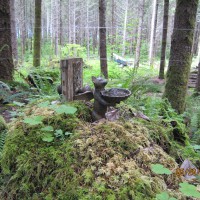 Photo Thumbnail #13: 2012 Memorial Day weekend.  More Forest decor.