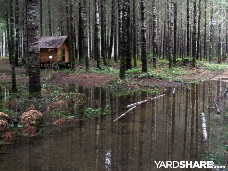 Landscaping Ideas > Forest Gardening PART II | YardShare.com