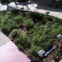 Photo Thumbnail #27: After pic of yard, with a chamomile and river...