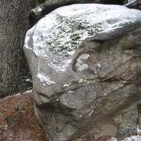 Photo Thumbnail #2: One of the huge rocks in the front yard