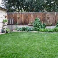 Photo Thumbnail #1: The left side of the garden...