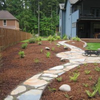 Photo Thumbnail #10: this is looking back to the house from the forest