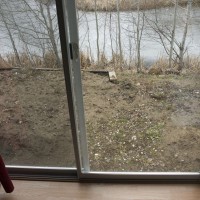 Photo Thumbnail #7: View out back through the glass doors