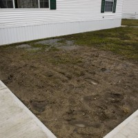 Photo Thumbnail #2: Front Yard Right