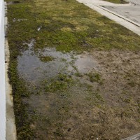 Photo Thumbnail #3: Front Yard Ground Next to Small Wood Porch