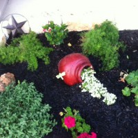 Photo Thumbnail #6: I just love my urn with the Alyssum spilling...