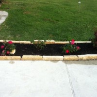 Photo Thumbnail #3: Rose bed lining the driveway. 3 Strawberry and...