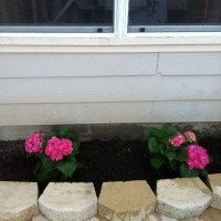 Photo Thumbnail #10: New flower bed just waiting for more to be...