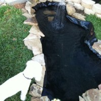 Photo Thumbnail #12: Decided on making the pond larger and putting...