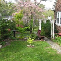 Photo Thumbnail #2: Side Yard