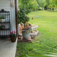 Photo Thumbnail #4: Garden off patio rear of house