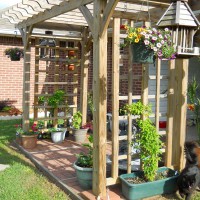 Photo Thumbnail #6: Arbor off patio