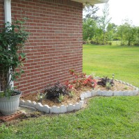 Photo Thumbnail #5: Garden off patio rear of house.