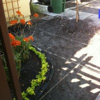 Photo Thumbnail #2: Prepared ground for brick pavers.