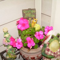 Photo Thumbnail #5