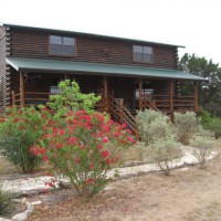 Photo Thumbnail #10: Looks like oleander blooms no matter how dry it...