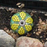 Photo Thumbnail #6: Bowling ball sunflower.