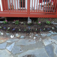 Photo Thumbnail #2: It amazing what a little mulch and spring...