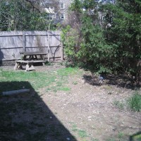 Photo Thumbnail #4: BEFORE: the old fence needs to go!