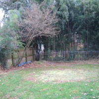 Photo Thumbnail #8: BEFORE: a nice round lawn circle where the...