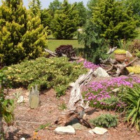 Photo Thumbnail #10: Another view of the rock garden. 