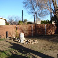 Photo Thumbnail #3: Nothing but dirt and weeds and a few perennials...