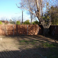 Photo Thumbnail #4: Another shot of the weeds and dirt that make up...