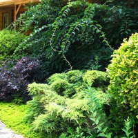 Photo Thumbnail #3: Flowerbed next to covered back porch. See how...