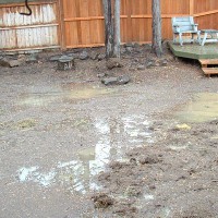Photo Thumbnail #5: where the firepit eventually will be