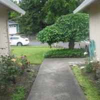 Photo Thumbnail #4: Looking out the front door into the courtyard.