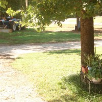 Photo Thumbnail #2: The view from mom in law's porch