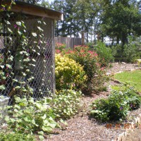 Photo Thumbnail #30: potting shed garden