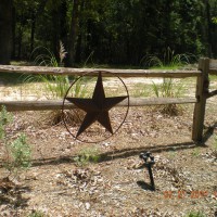 Photo Thumbnail #2: Lone Star State