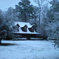 Photo Thumbnail #18: yard in winter