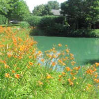 Photo Thumbnail #4: clean clear water,stocked with fish