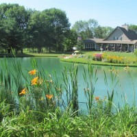 Photo Thumbnail #4: our country cottage in the country