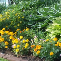 Photo Thumbnail #12: this is a flower bed down by the lake