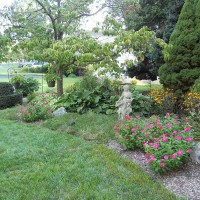 Photo Thumbnail #2: Front yard 2