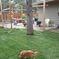 Photo Thumbnail #5: Looking back toward the eventual paver patio