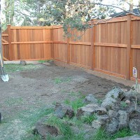 Photo Thumbnail #1: The empty sideyard, after fencing but before...