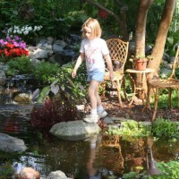 Photo Thumbnail #26: Water Garden