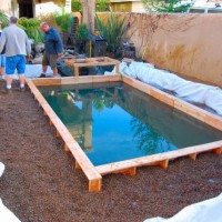 Photo Thumbnail #22: Swim pond in Redondo Beach