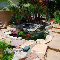 Photo Thumbnail #2: A Koi pond basks in the sun