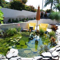 Photo Thumbnail #24: Hermosa beach water garden